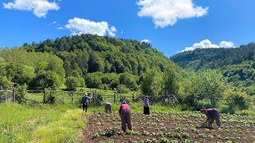 Türkiye Dağ Köyünde Yaşam. Yükseklerde Köy Hayatı. Belgesel