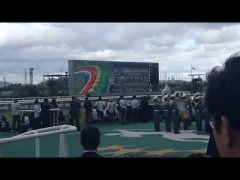 宝塚記念　　阪神競馬場　平成27年6月28日　HD