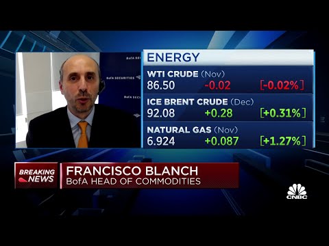 Opec is cutting due to global inflation and the cheapness of oil, says boa's francisco blanch
