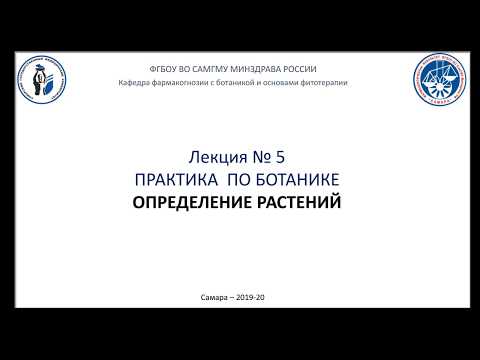 ЛЕКЦИЯ 5 ОПРЕДЕЛЕНИЕ РАСТЕНИЙ РАБОТА С ОПРЕДЕЛИТЕЛЕМ