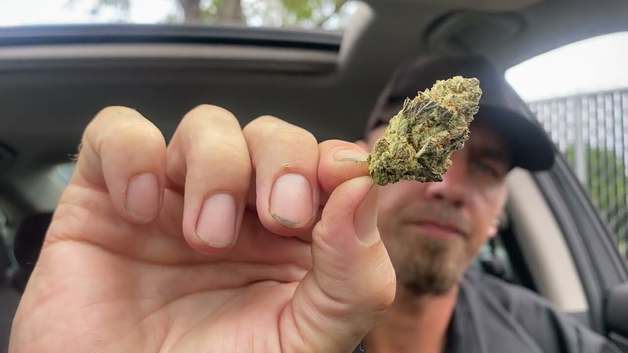 Ice Cream 🍨 Haze  Volume 🌬💨😶‍🌫️