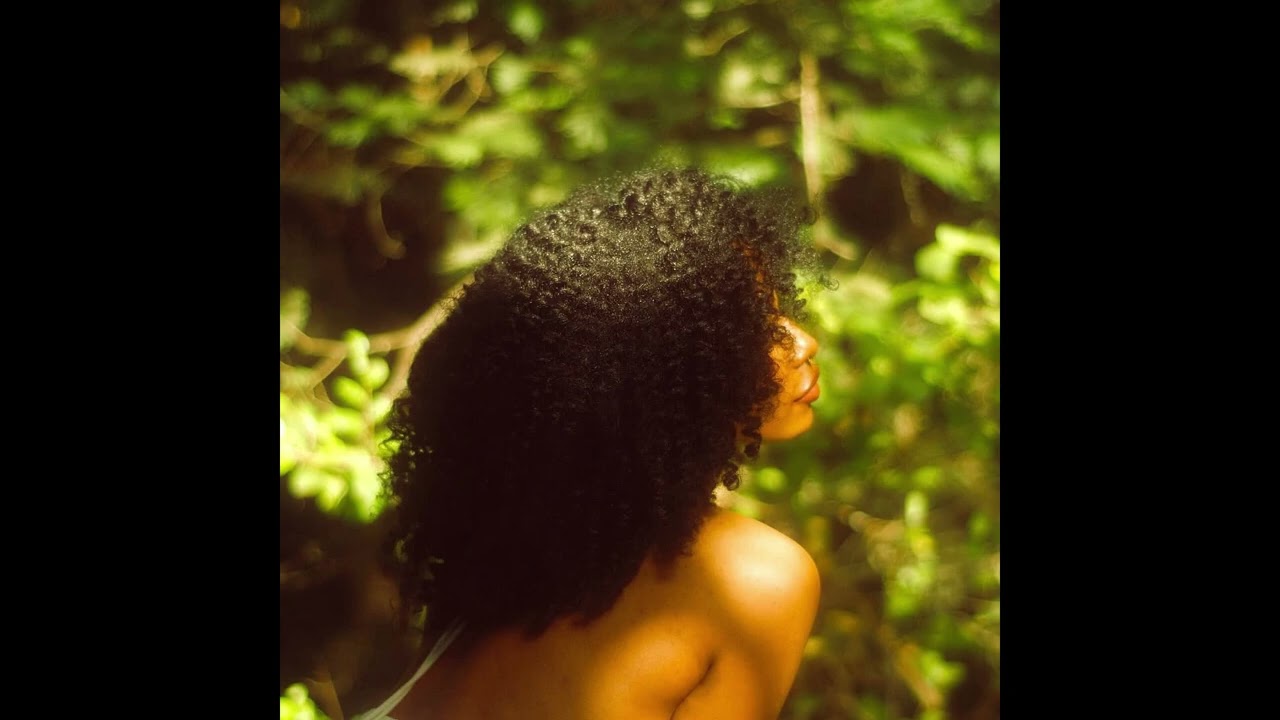 [FREE] Cleo Sol x Erykah Badu Type Beat - "About You"