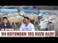 Lk doumda 94 toklu koyundan 185 kuzu ald franszlar bile nanamad  dr koyuncu