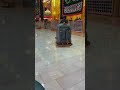 مرتضى حرب عباس طبه ورعد بيه و صاح حيهم مرتضى حرب عباس طبه ورعد بيه و صاح حيهم