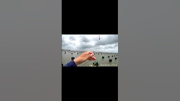 tôm tích mà cũng ăn câu nữa! #câucá #fishing #caucathugian #cuoccauca #fish #cauca #caucathiennhien