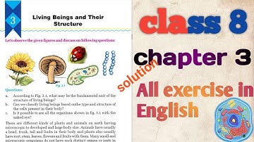 3.1 class 8 science chapter 3 | Living Beings and Their Structure all exercise in English