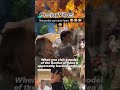 This Gender #viral #funny #viralvideo