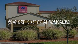 Comfort Suites Bloomsburg Review - Bloomsburg , United States of America
