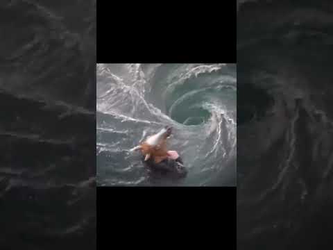 This YouTuber Captured His Tragic Final Moments