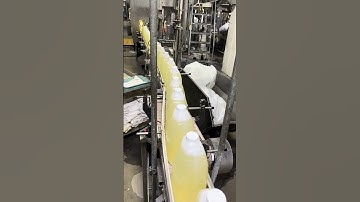 Jug conveyor #howitsmade #industrialautomation