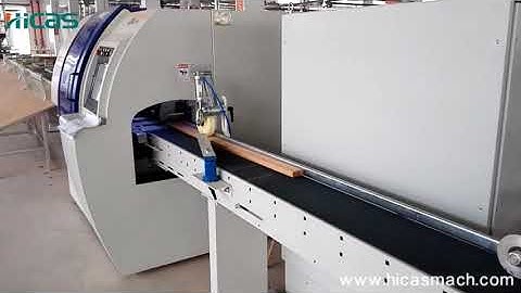 Hicas optimizing multi rip saw & optimizing cross cut saw