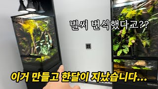 수백만원 주고 제작한 비바리움..한달이 지나고 어떻게 변했을까요?