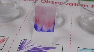 Science Experiments For Kids In A Box