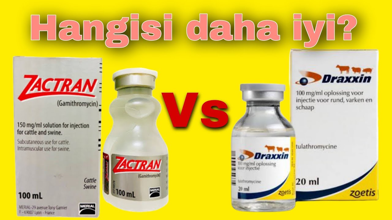 Zactran vs Draxxin - Hangisini kullanmalı?