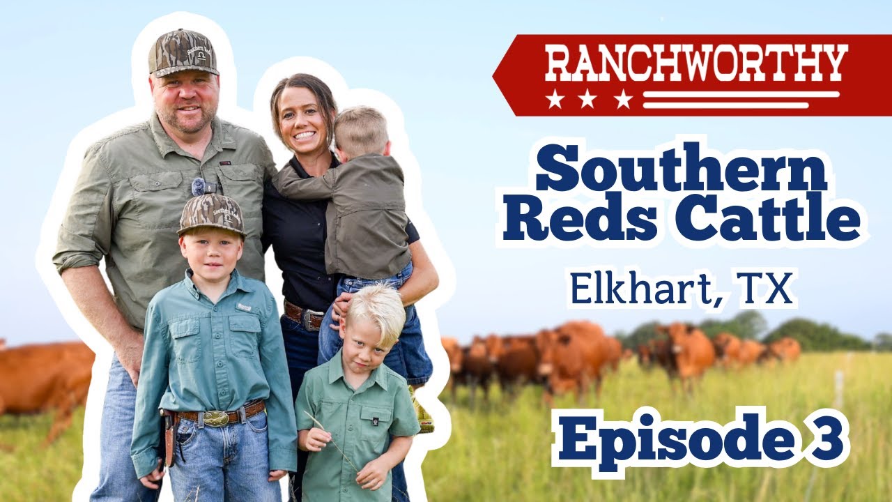 Episode 3 | First-Generation Ranching with A Purpose, Southern Red Cattle's legacy in Elkhart, TX