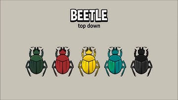 top down beetle game asset animation preview