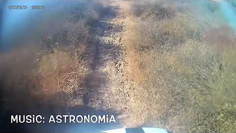 Full Sending Jumping Mouse At Greer Ranch