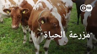 وثائقي |  إنقاذ حيوانات المزرعة من المسلخ - مزارعون يهجرون تربية الحيوانات | وثائقية دي دبليو