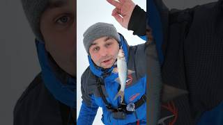 Как сохранить живца зимой? #зимняярыбалка #ловляживца #жерлицы #аэратор #icefishing