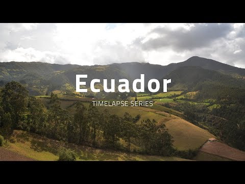 Video: Ecuadori õpetaja Arreteeriti 84 Lapse Väärkohtlemise Eest