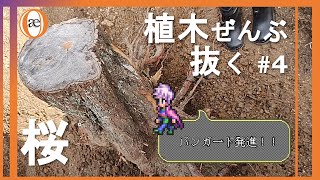 【DIY】【朽ち木？】大地の鎖を断ち切れ #4 桜【抜根】【バンガード発進】