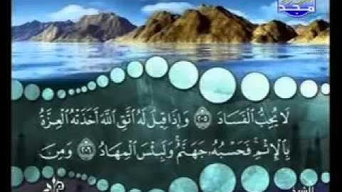 سورة البقرة من  آية 204  إلى آية 207