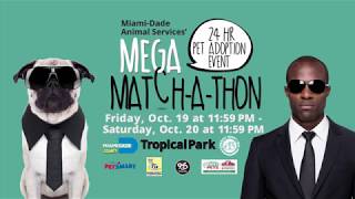 Miami-Dade Animal Services - Mega Match-A-Thon - 2018