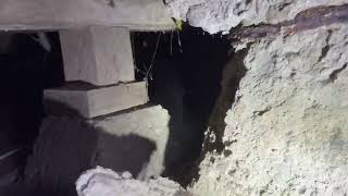 What is spall damage and why is it bad? | Structural Assessment in Los Angeles
