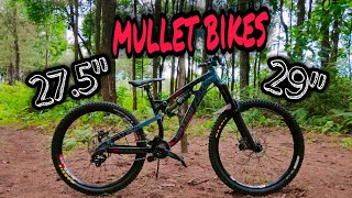 BIKE CHECK PATROL 872 MULLET BIKES