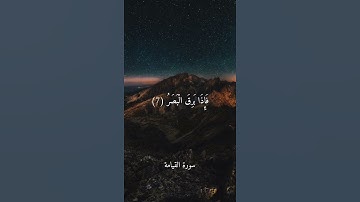 سورة القيامة - ماهر المعيقلي .