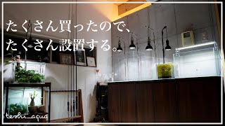 【アクアリウム】たくさん買ったのでたくさん開封して設置した休日/aquarium/vlog/金欠アクアリスト/#23