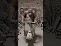Orangutan Ape Vespa Ape