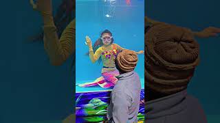 Dubai them mela #jalpari#mela#naveen