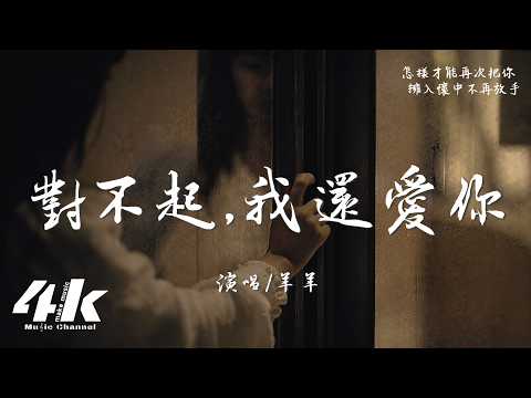 羊羊 - 對不起,我還愛你(女生版)『對不起 我還愛你，我想給你 所有意義。』【高音質HD|動態歌詞Lyrics】♫