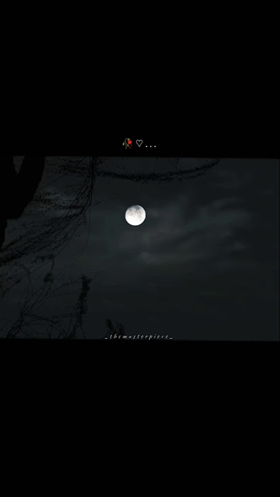 𝘀𝗮𝗶𝘆𝗮𝗮𝗿𝗮...🥀🥺