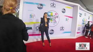 Hailee Steinfeld At The 2017 American  Awards