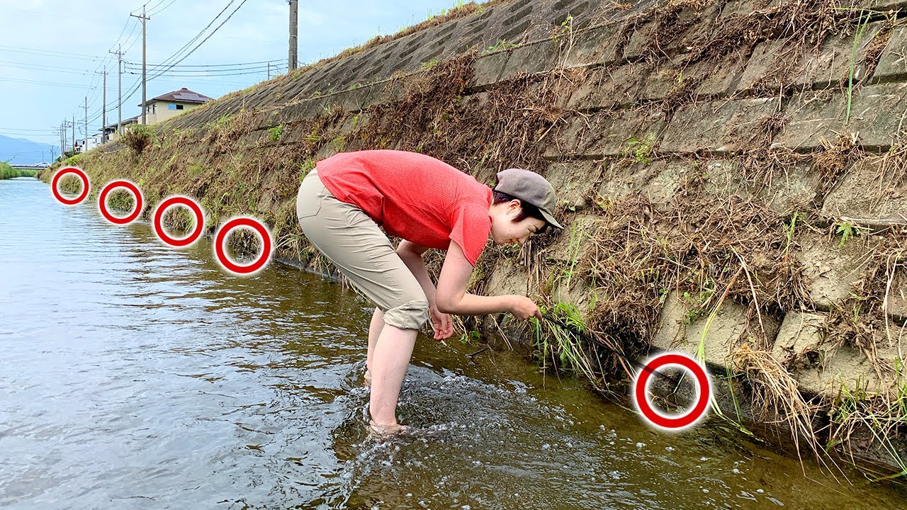 Если закинуть наживку в 300 лунок, можно поймать много элитной рыбы!