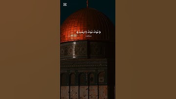 هيهات هيهات لما توعدون | سورة المؤمنون | ياسر الدوسري #القرآن_الكريم #quran #اكسبلور #duet