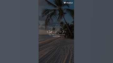 قل متاع الدنيا قليل 🌿 والآخرة خير لمن اتقى القارئ 🌿 ياسر الدوسري 🌿