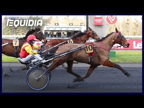 Belline d'Urzy - Prix Guy Lux - Vincennes - 07/02/19 - Belline d'Urzy - Prix Guy Lux - Vincennes - 07/02/19