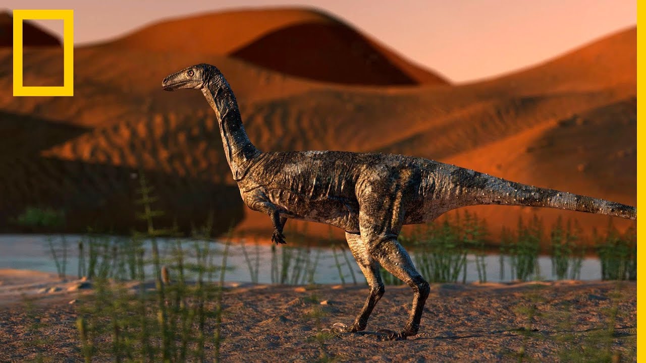 Este es el fósil de dinosaurio terópodo mejor conservado de Brasil |  National Geographic en Español - YouTube