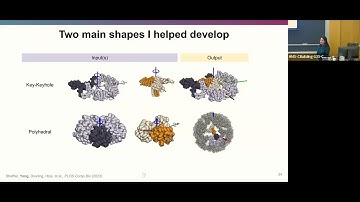 Computational Design of non-porous, pH-responsive antibody nanoparticles