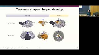 Computational Design of non-porous, pH-responsive antibody nanoparticles