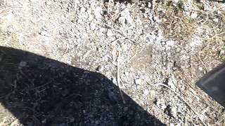 WP 20140402 001 1