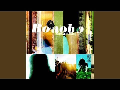 Bonobo - Sugar Rhyme