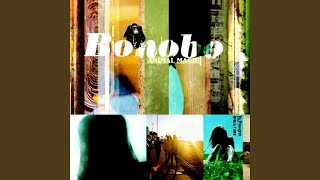 Sugar Rhyme - Bonobo