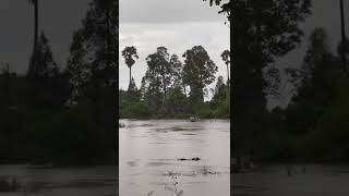 Raining Season In Cambodia screenshot 2