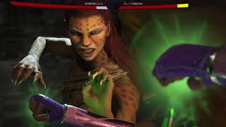 Injustice 2 Star Fire vs Cheetah