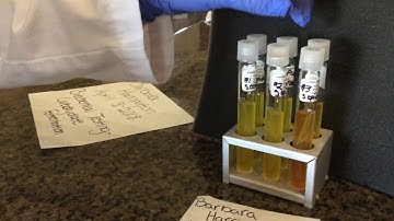 Biochemical Testing -Carbohydrate Fermentation-Part 2