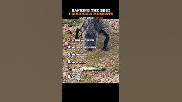 Ranking the funniest crocodile moments